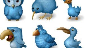 ugly birds twitter